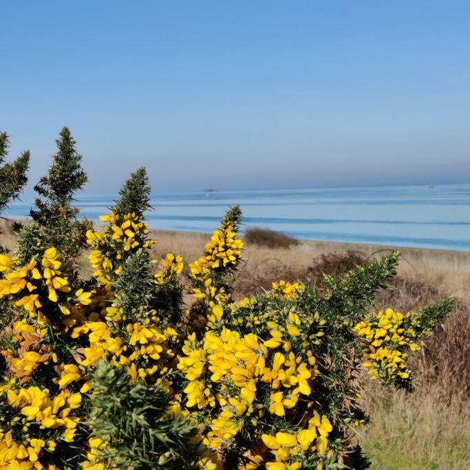 Escape To The Coast In A Luxurious Private Apartment Herne Bay Zewnętrze zdjęcie